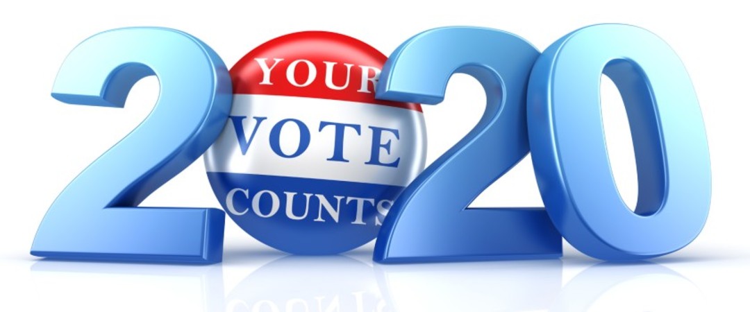 vote-2020-11-1